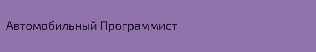 Автомобильный Программист